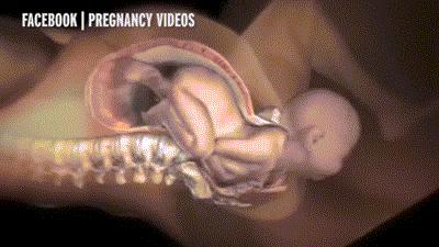 生宝宝到底有多疼看完这个就知道,生孩子到底有多疼让爸爸告诉你