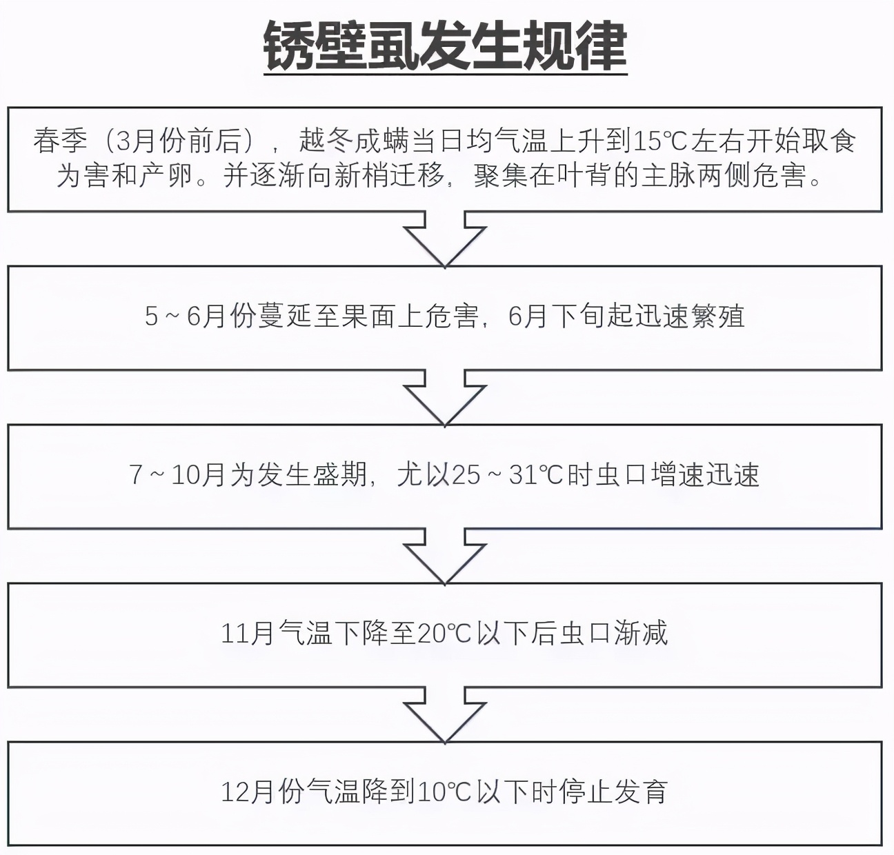 天天下雨柑橘树锈壁虱多吗,柑橘锈壁虱几月份打药