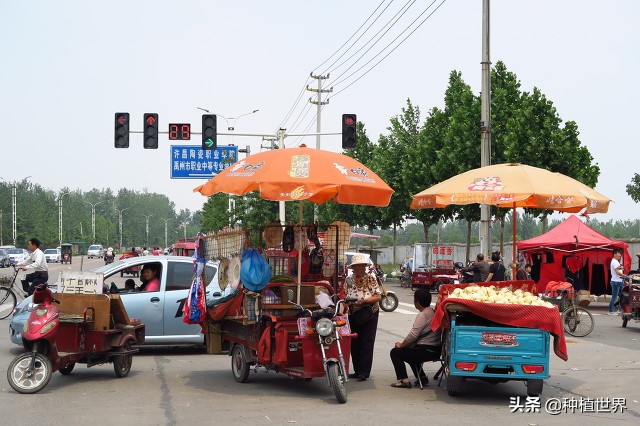 为什么不做媒人做三代好,古语不做媒人