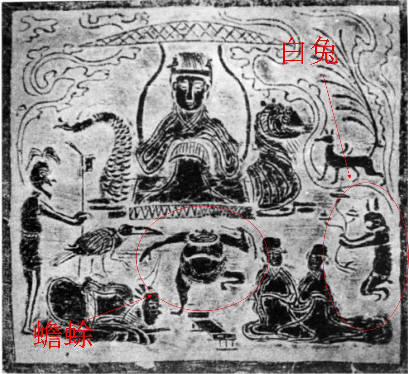 白兔：月亮上的蟾蜍和白兔，广寒仙子竟是兔仙的捣药帮手