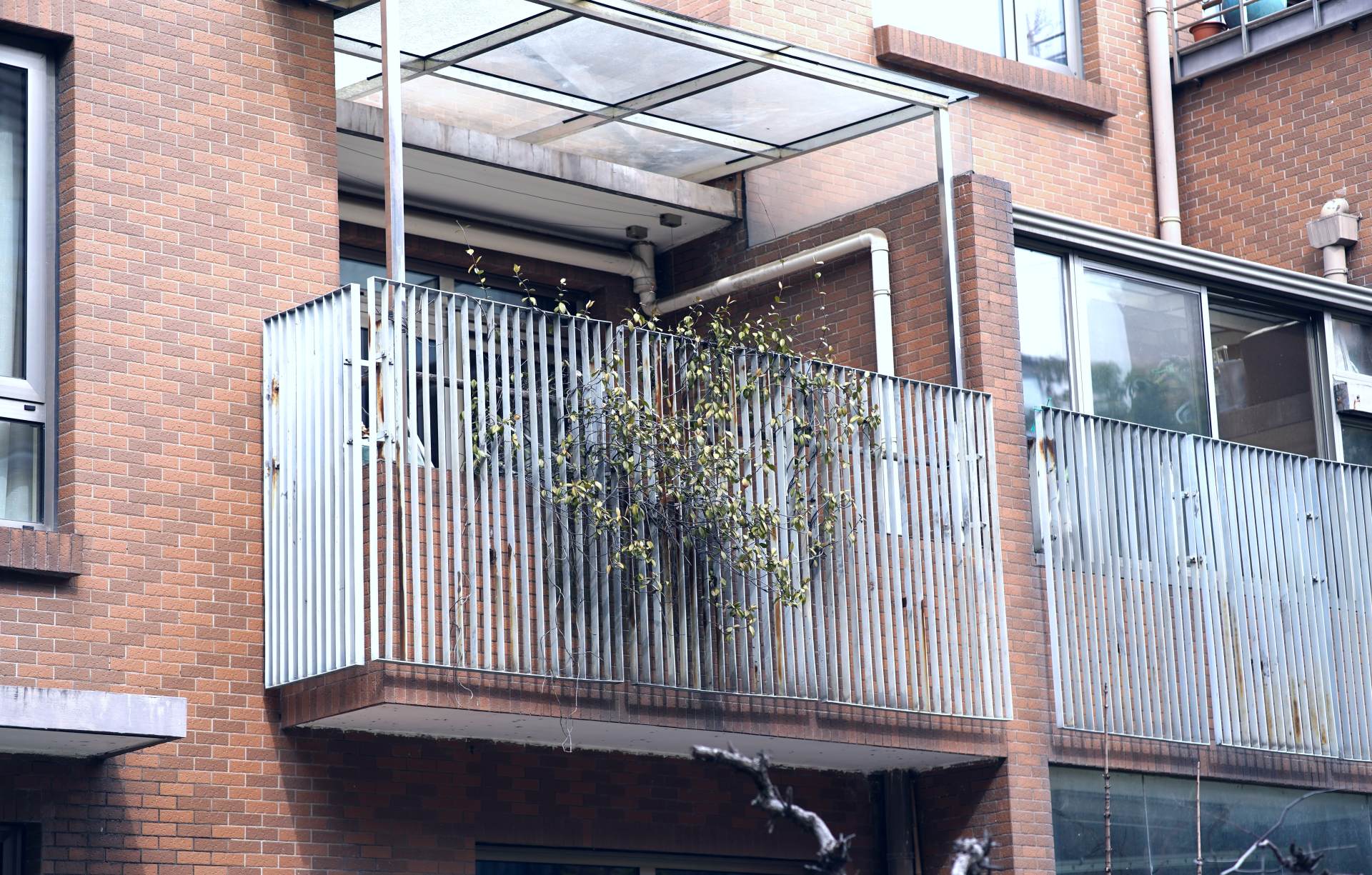 相机入坑配件,新手小白必备相机配件推荐