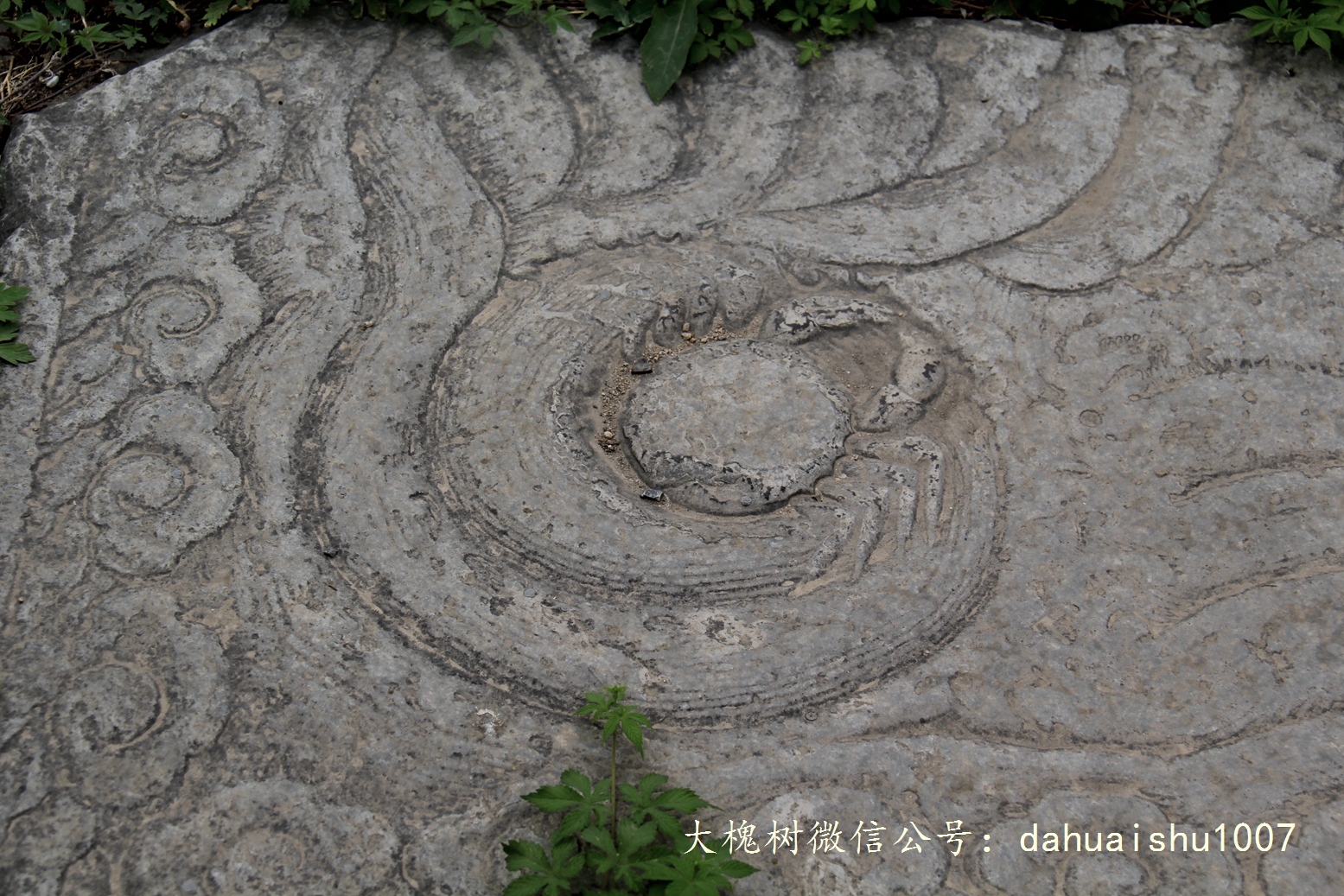 嘉靖陵墓永陵和永乐大典,明朝十三陵之永陵