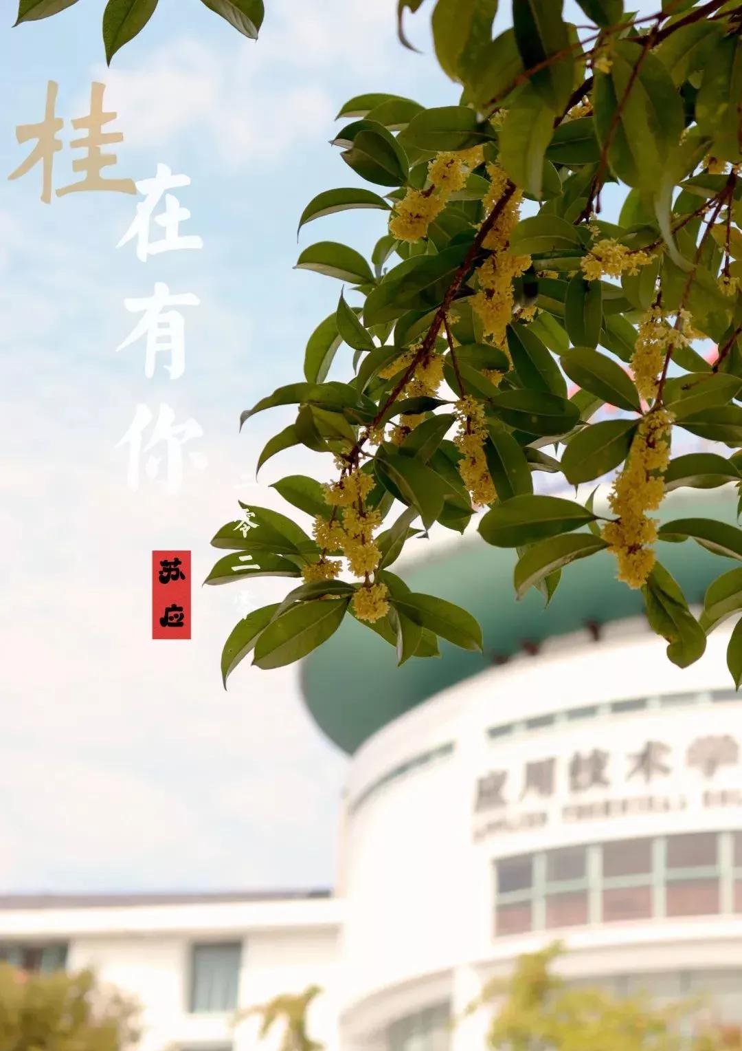 江苏省高校(六十六)苏州大学应用技术学院