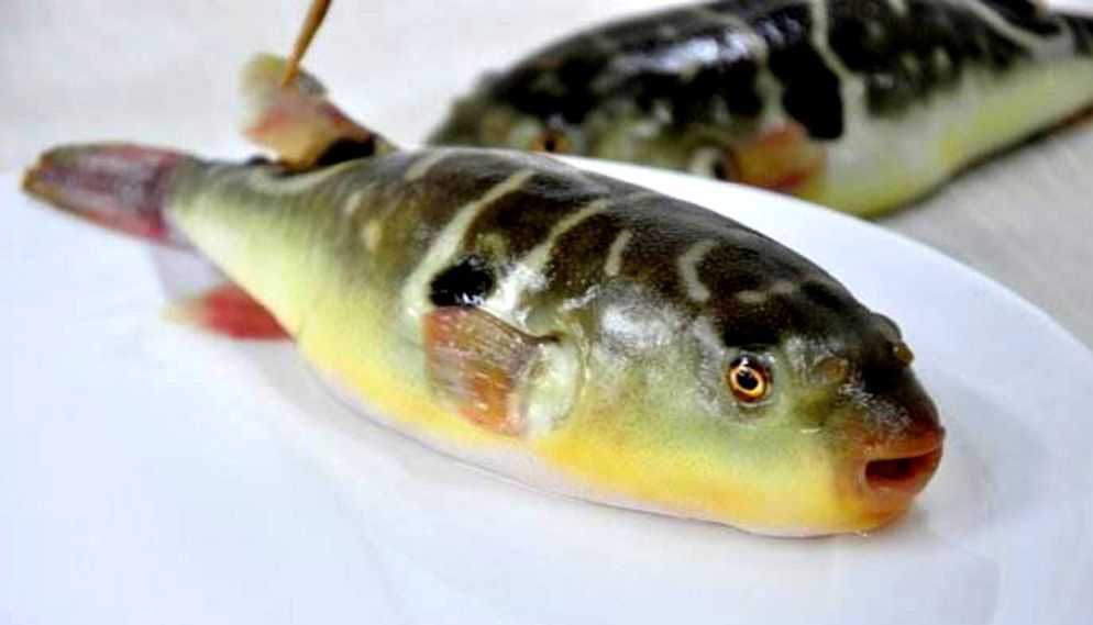 舌尖上的美食纪录片南通,2023寻味南通舌尖上的中国