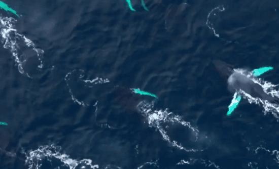 在死海沉浮，探秘无人岛，真正的航海生活比书里精彩一百倍