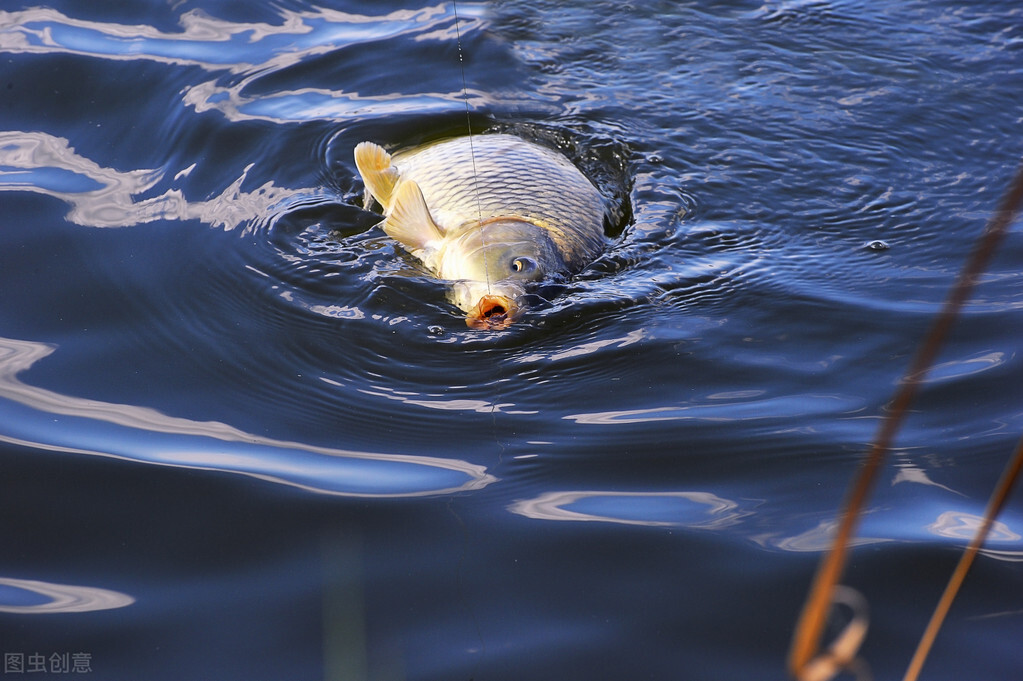 鱼塘ph值过高怎么解决,鱼塘养鱼ph值多少合适
