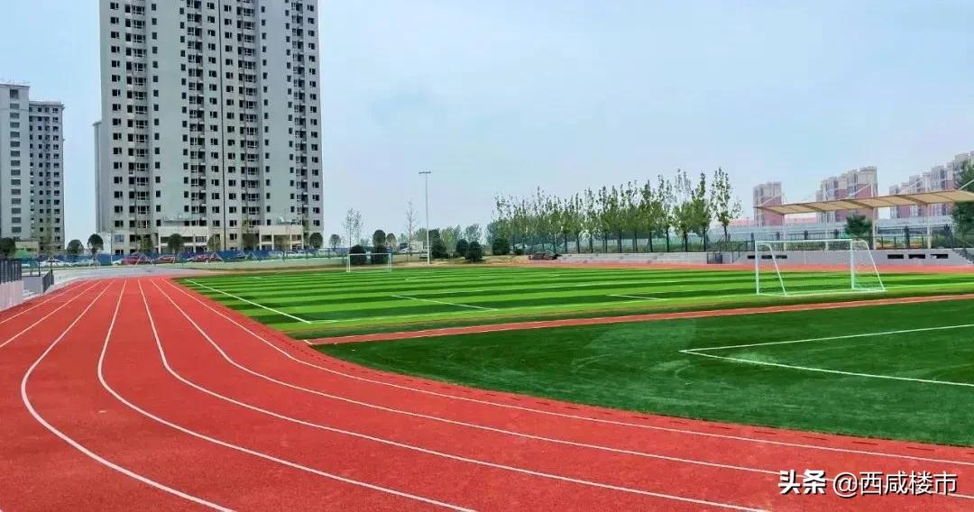 新增的231个学位是什么,5年内新增438万公办学位