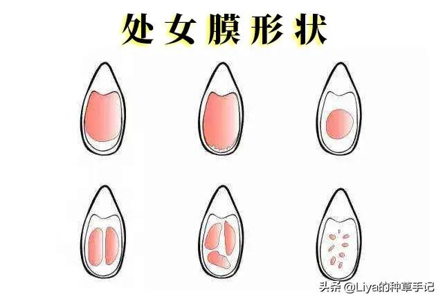 女生是不是处女，看这些特征就知道？