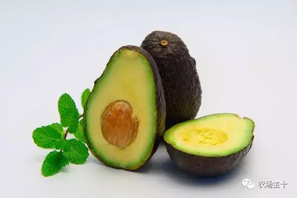 牛油果是怎样炒作起来的,牛油果好难吃怎么做才好吃