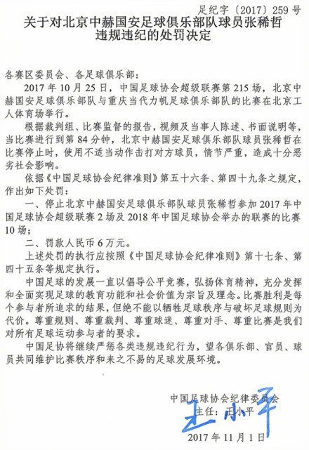 张稀哲受罚事件,徐亮评张稀哲判罚