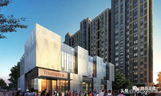 百万方的商业综合体,百万方高品质大盘