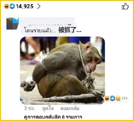 少了中国游客，整个旅游生态圈都乱了！