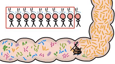 瘦吧app减肥真的有效果吗,瘦吧app花钱吗