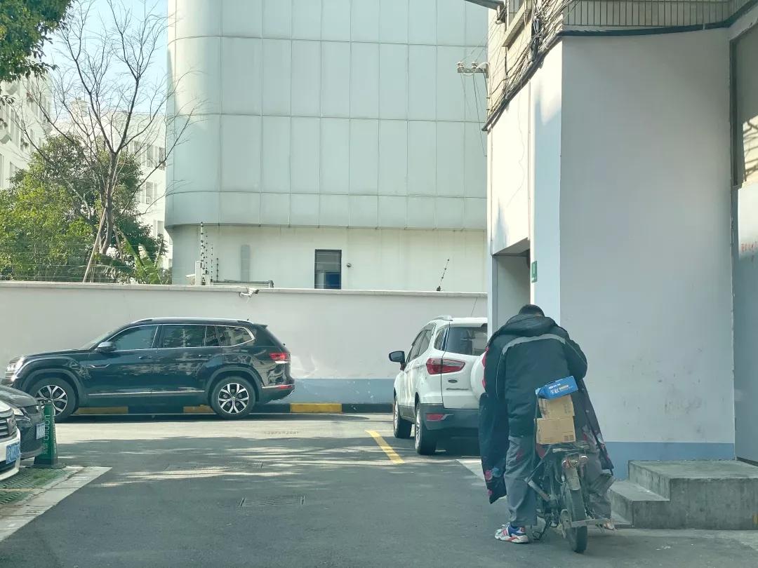 上海2月4日天气,上海2月10日天气