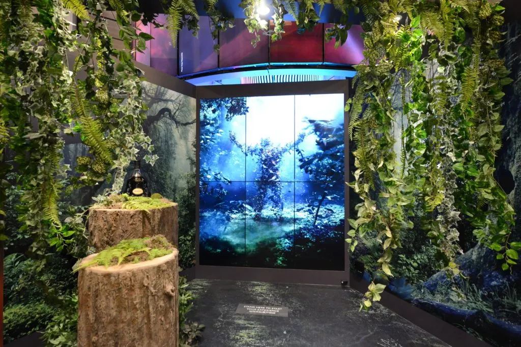 乐天免税店双11活动,乐天免税店和新罗免税店哪个好