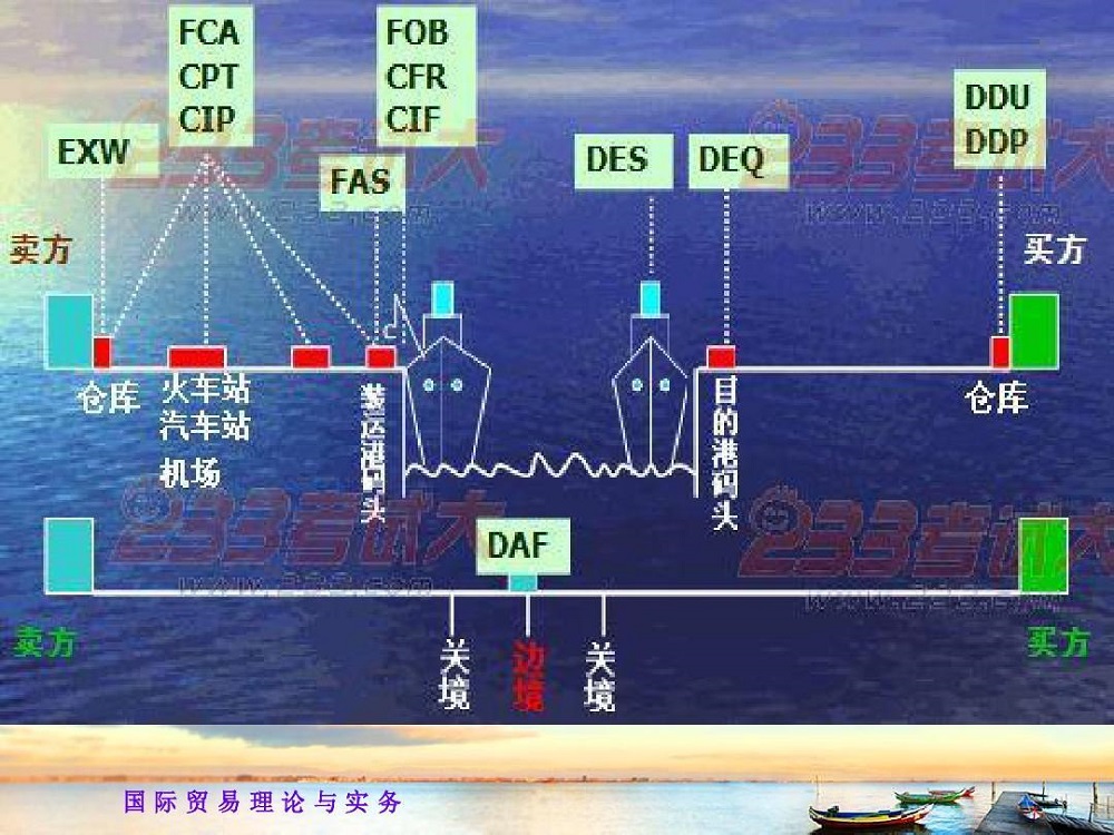 野林猫跨境电商宣传视频,野林猫跨境电商