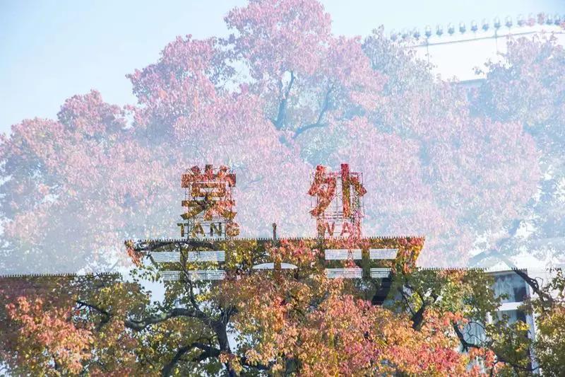 西川实验小升初,成都2021小升初西川实验