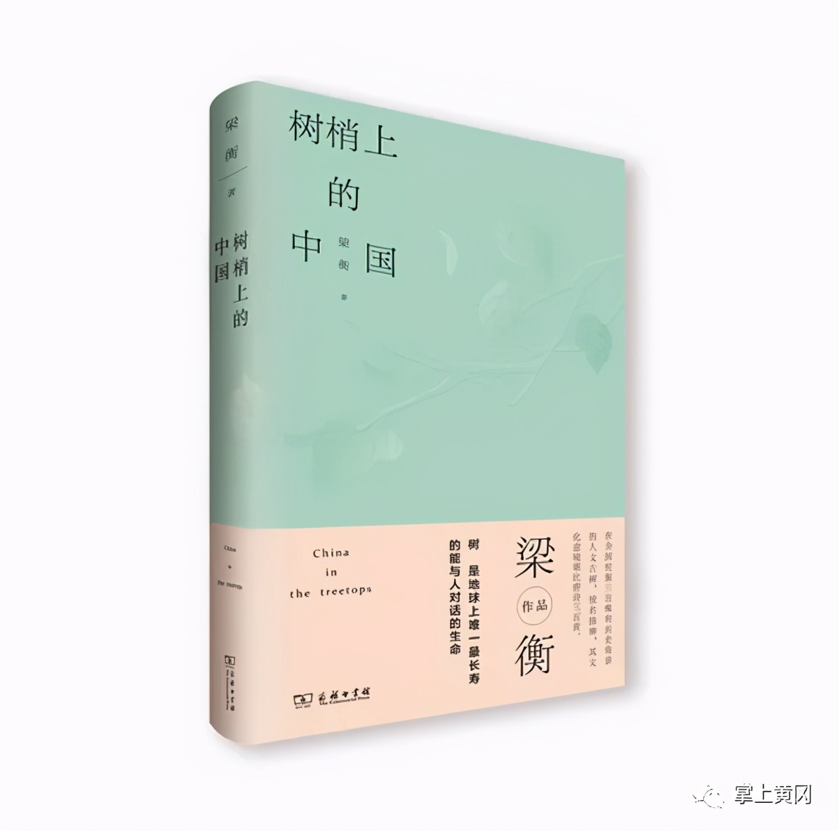 湖北一名副省级领导撰写读后感荐书：古树的情怀