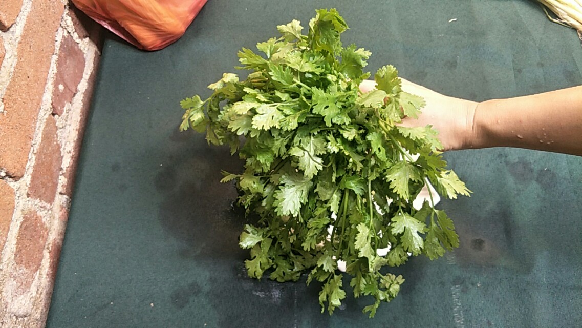 蔬菜发蔫，用这一招绝了，蔬菜立马变得新鲜有活力，赶紧回家试试