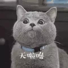 独家揭秘国内假货的虚假销售,虚假发票骗局揭秘