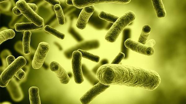 通过*生活性**传播的疾病：常见的有这5种，若想避免这3点或要注意