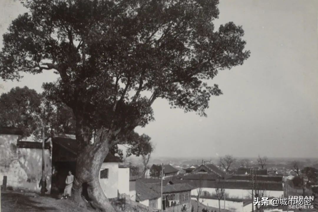 城隍山与吴山,有眼不识玉皇山