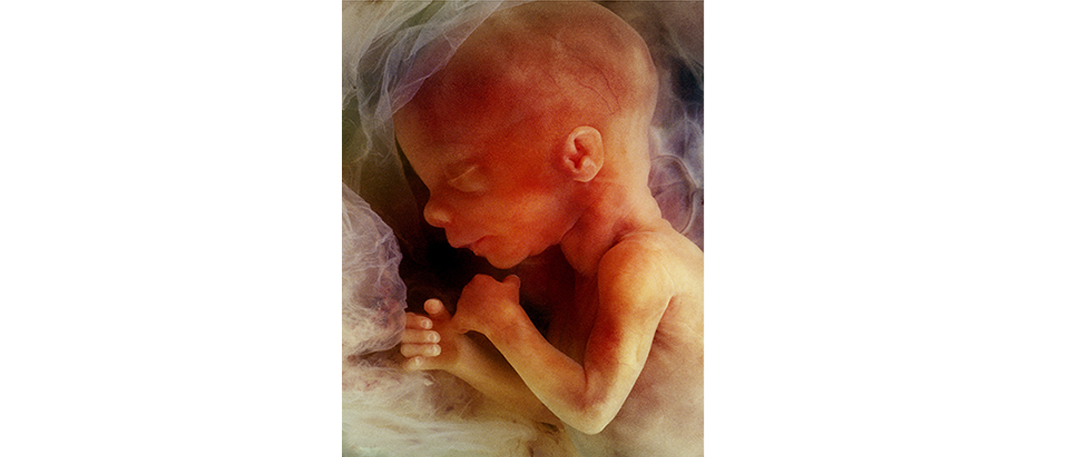 孕7周胚胎发育缓慢怎样才能更好,胎教0-6个月完整版