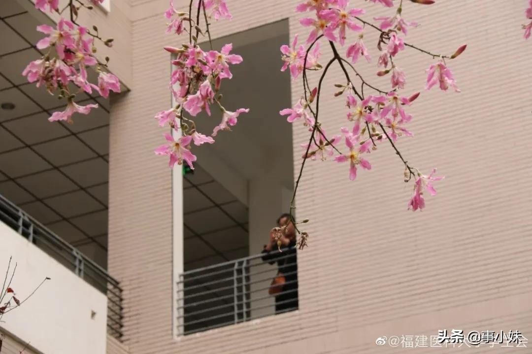 福医大上学怎么样,我劝你千万不要惹学医的女生