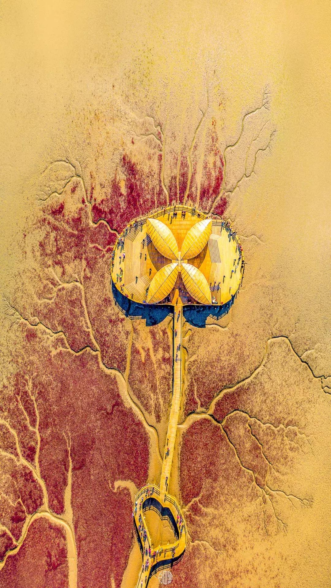 消失一年，中国航拍第一人回归！36张祖国山河美哭无数网友，再次惊艳了世界...