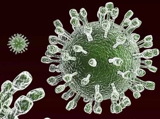 秋季腹泻发烧怎么办,腹泻吐发烧是怎么回事