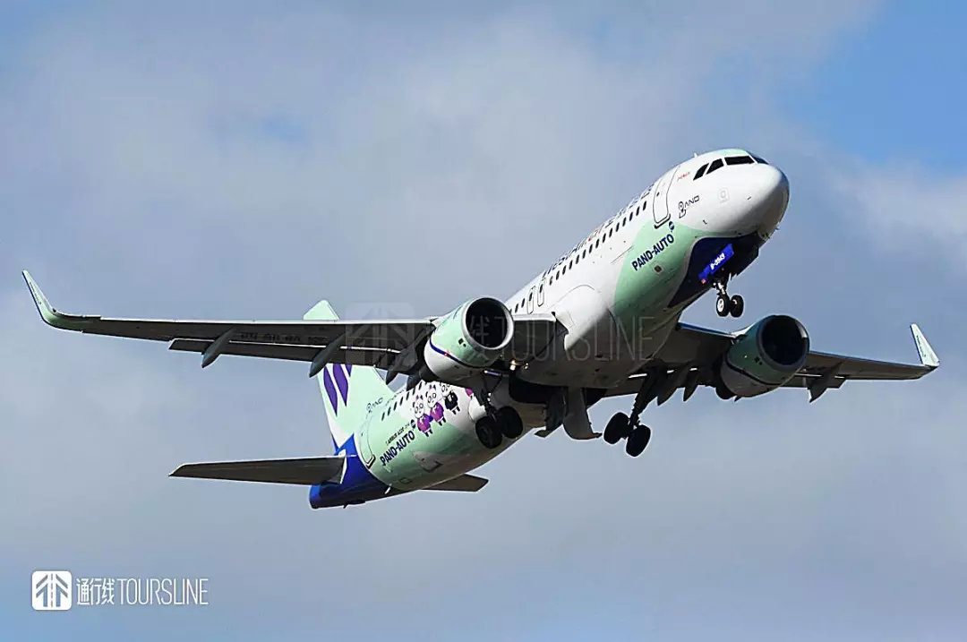 机票特价票猫腻,特惠机票的坑