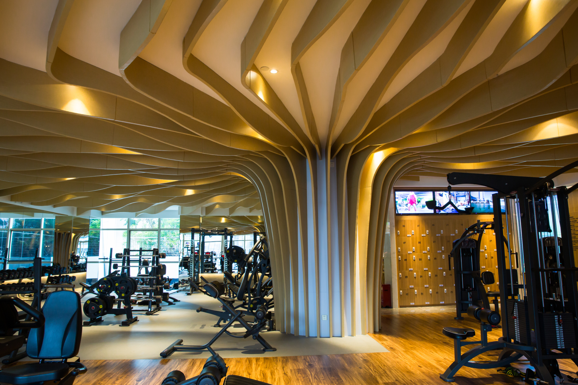 拔草活动感受,拔草喜来登