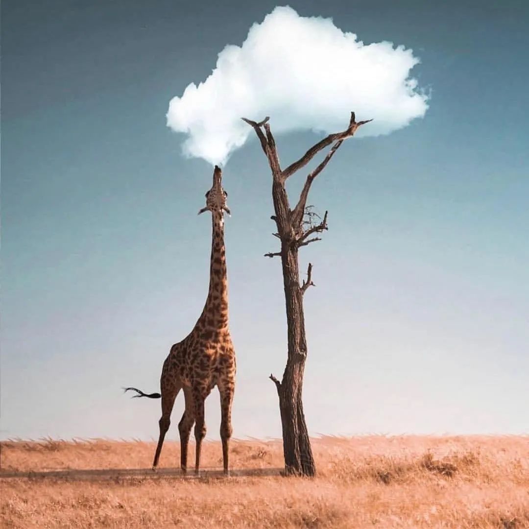 去了这30个地方一生就值得了,此生一定要去的14个地方