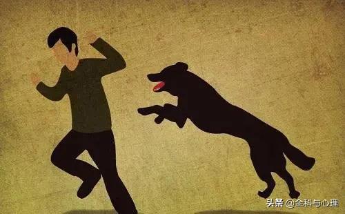 被猫抓伤要不要打狂犬病疫苗,打狂犬病疫苗四个月又被猫抓伤