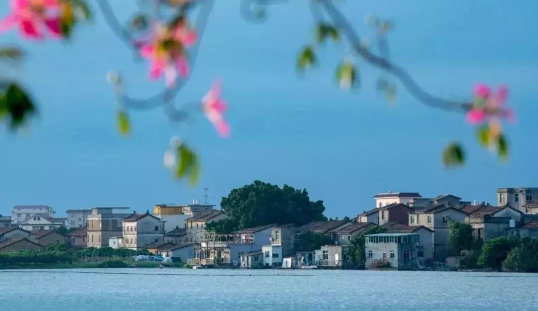 不只做红木、开金店！莆田人还会“滚雪球”?