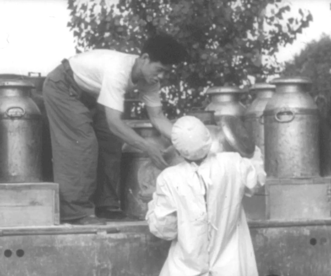 北京老字号三元宫醇纯牛奶,三元纯牛奶北京老字号多少钱一箱