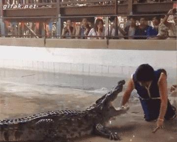 60个脑洞大开的真实照片，安装钛钢牙的军犬，拿破仑私人用的手枪