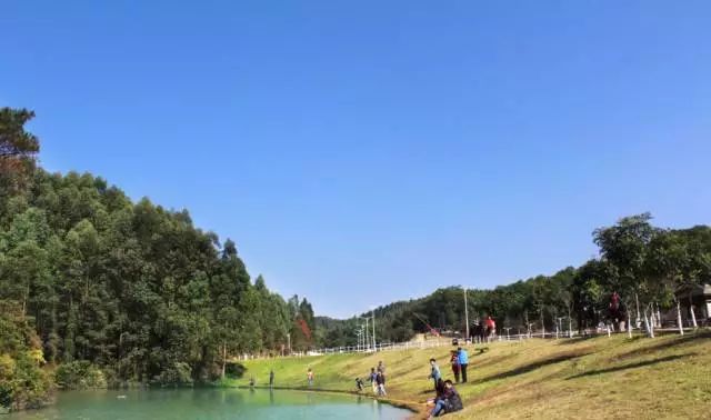 广东广州秋天正确的打开方式,广州花都夏天的好去处