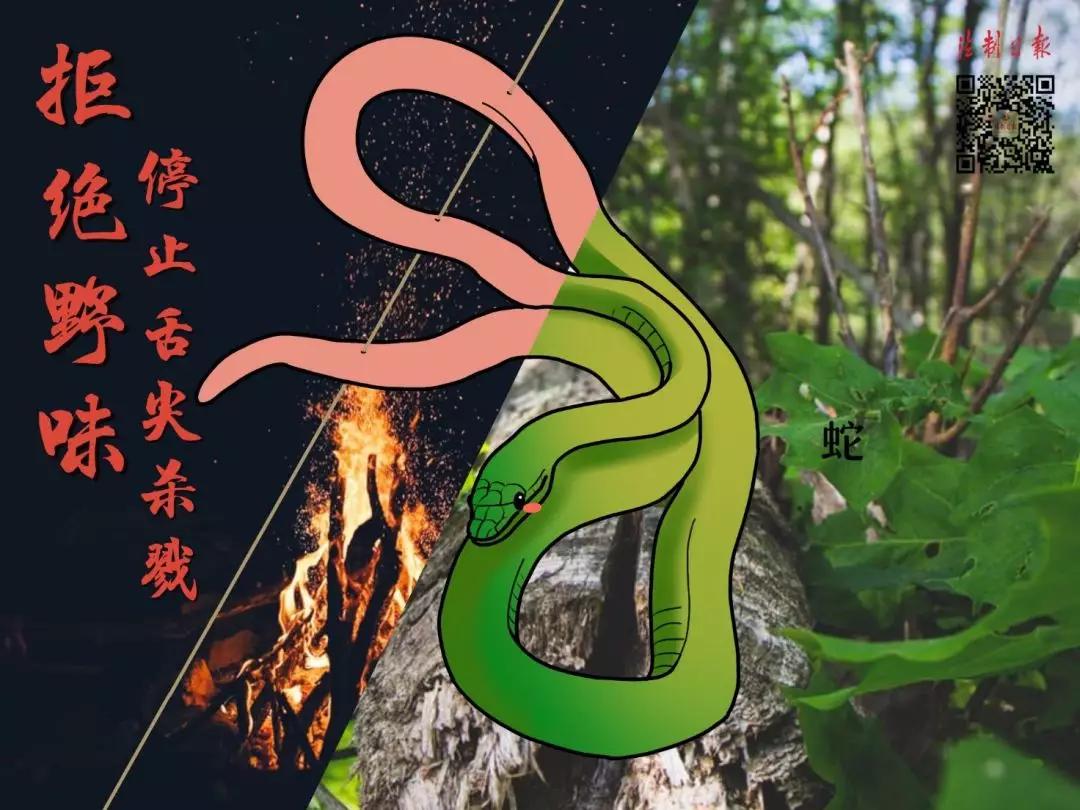 拒绝野味漫画图片,敬畏自然拒绝野味漫画