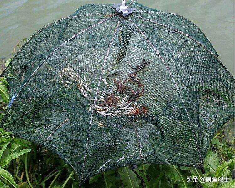 禁渔令禁用渔具,禁渔令渔具使用规定