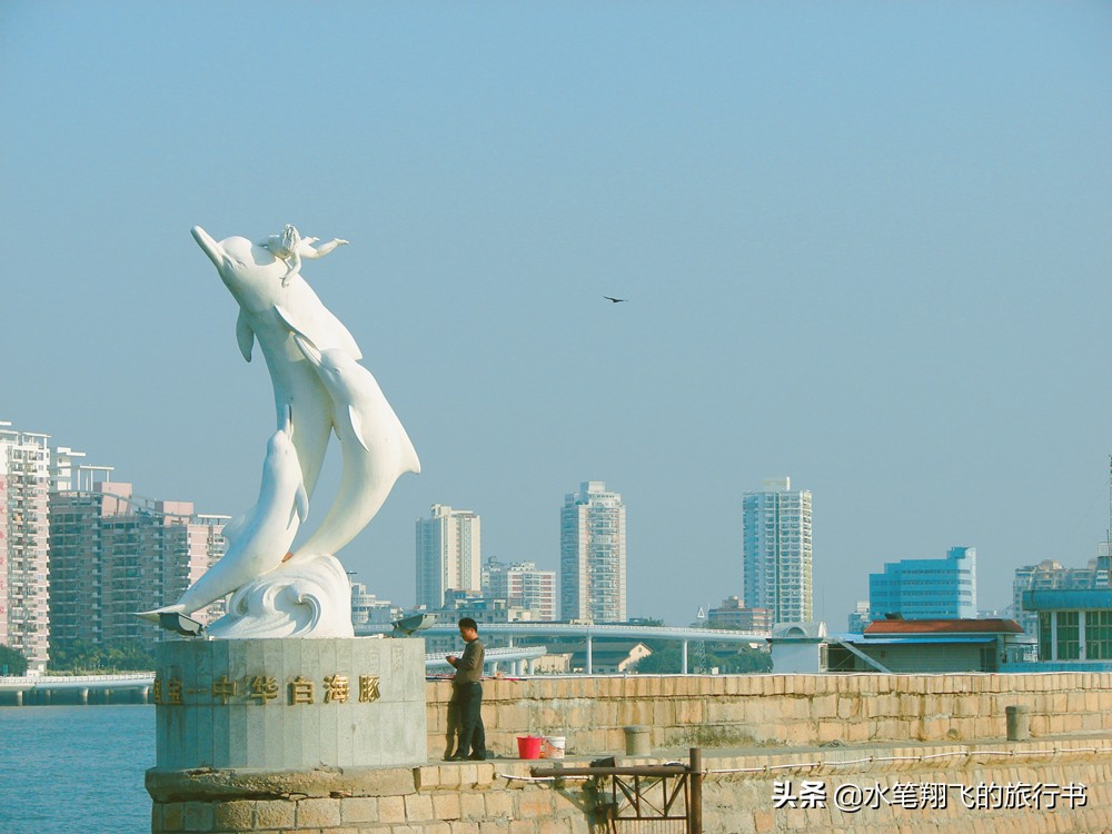 厦门有这样一个地方｜小和尚的邻居是大学生，古朴与摩登并存