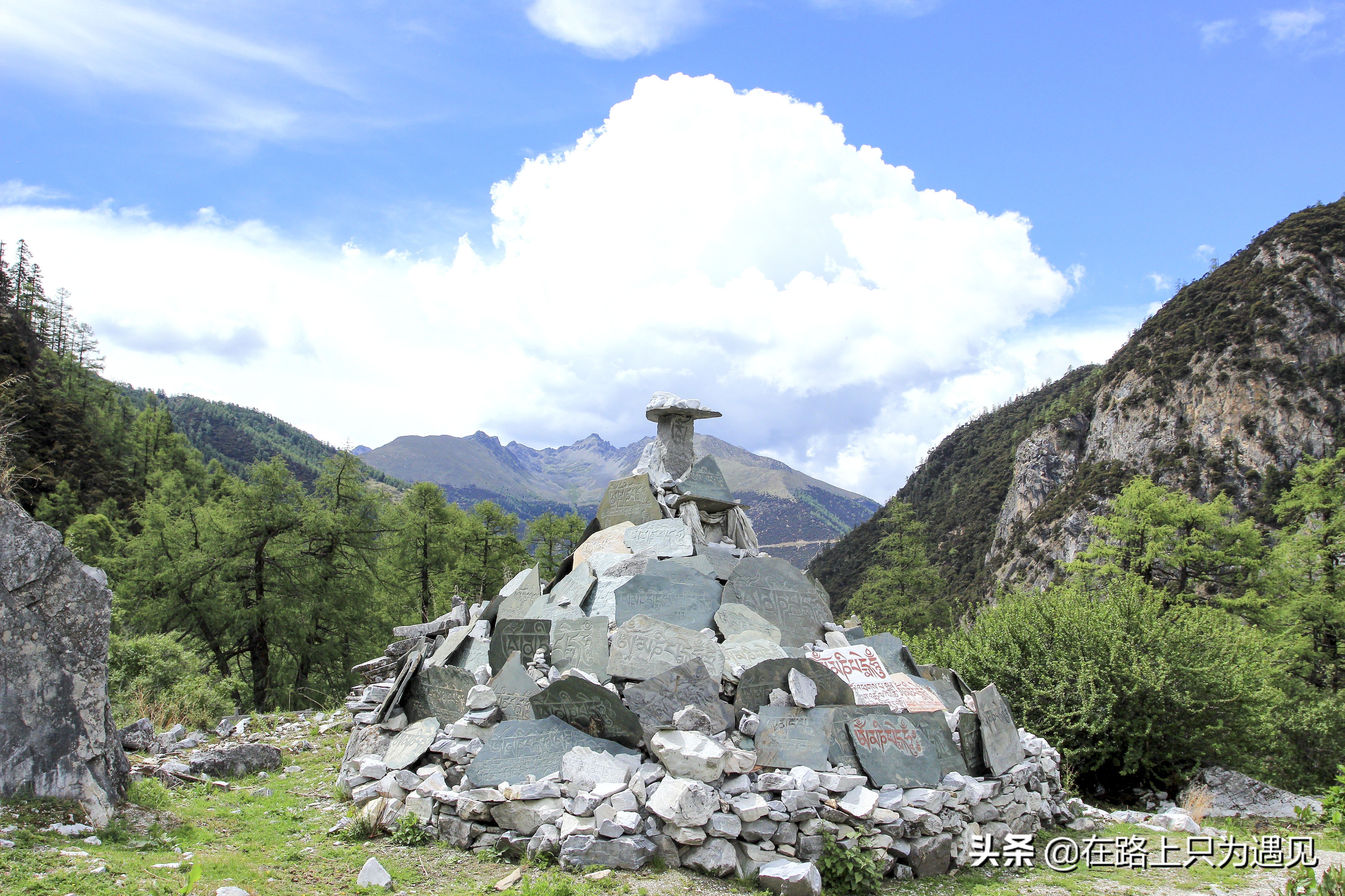 从你的全世界路过稻城亚丁主人公,从你的全世界路过稻城亚丁片段