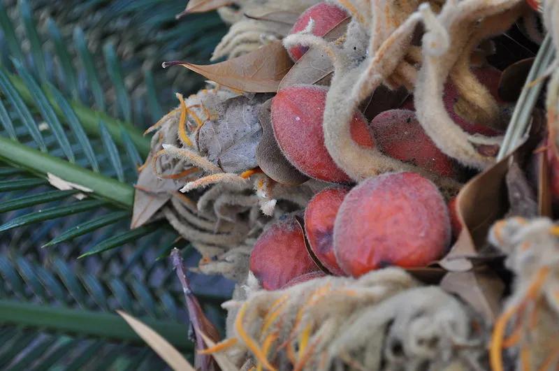 被剥夺体力、脑力甚至呼吸，都因为这道“传统美食”