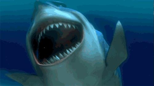 鲨鱼真的是那么恐怖吗,鲨鱼真的有那么凶残吗