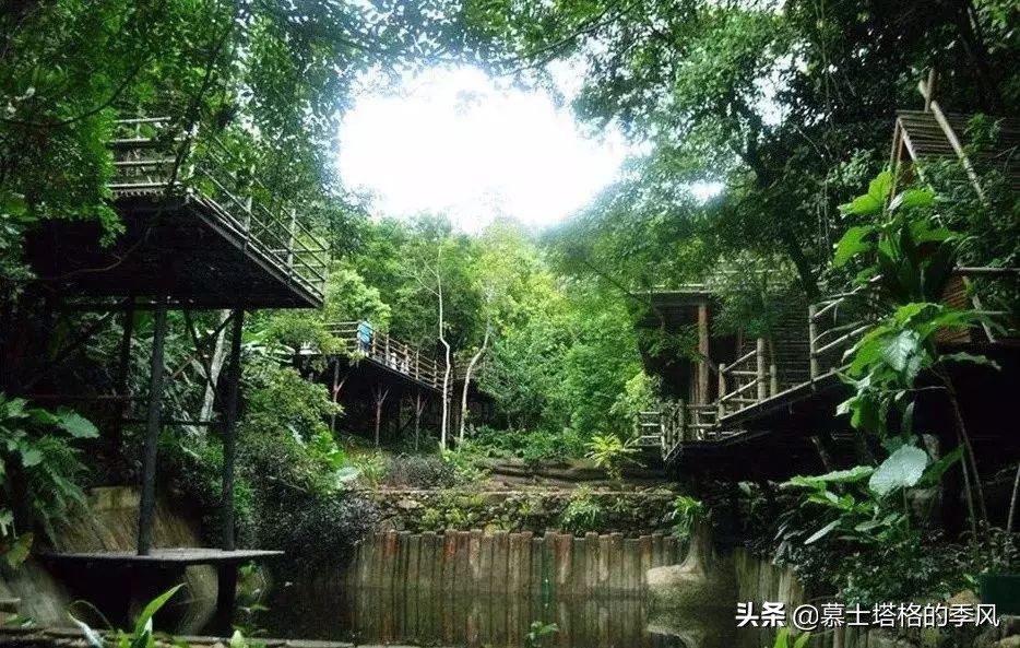 海南养老性价比最高的两座城,海南养老公寓最好的包吃包住价格