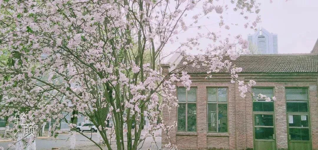 天津市耀华中学冯耀忠,天津市耀华中学招聘