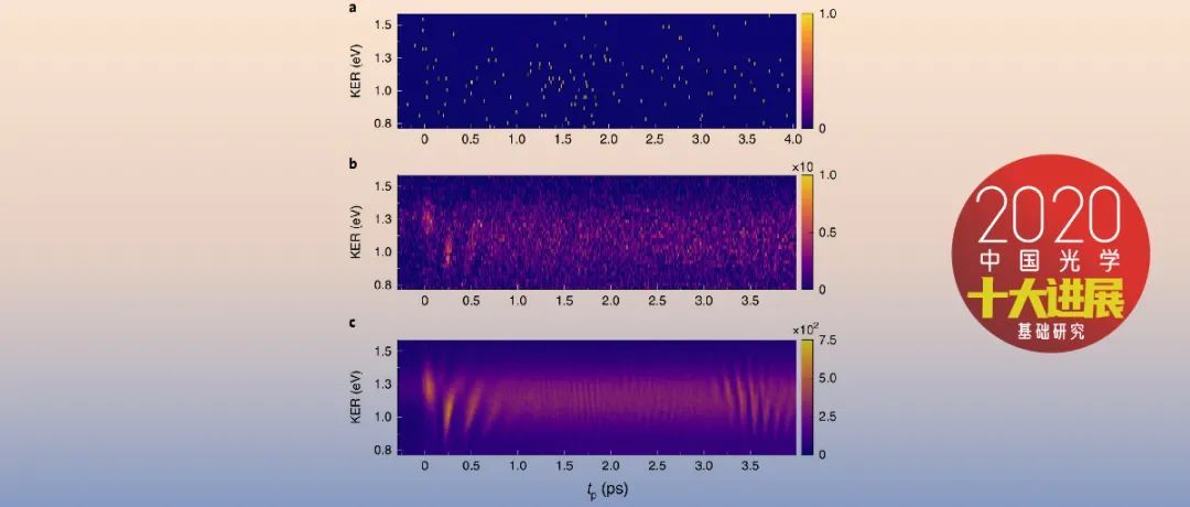 2020骞村害涓浗鍏夊鍗佸ぇ杩涘睍,2020骞村害涓浗鍏夊鍗佸ぇ杩涘睍鎻檽