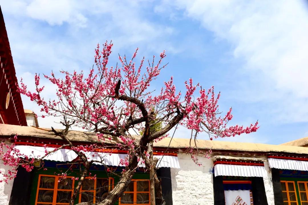 拍拉萨全景哪里最好,拉萨最适合拍照的地方