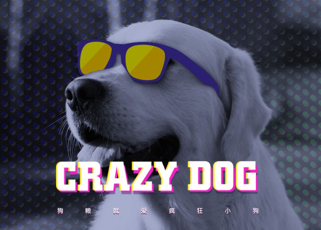 一只疯狂小狗视频,一只疯狂的阿拉斯加