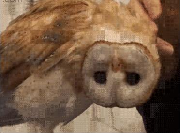 颠覆你认知的16个买房冷知识,广西十大颠覆你认知的冷知识